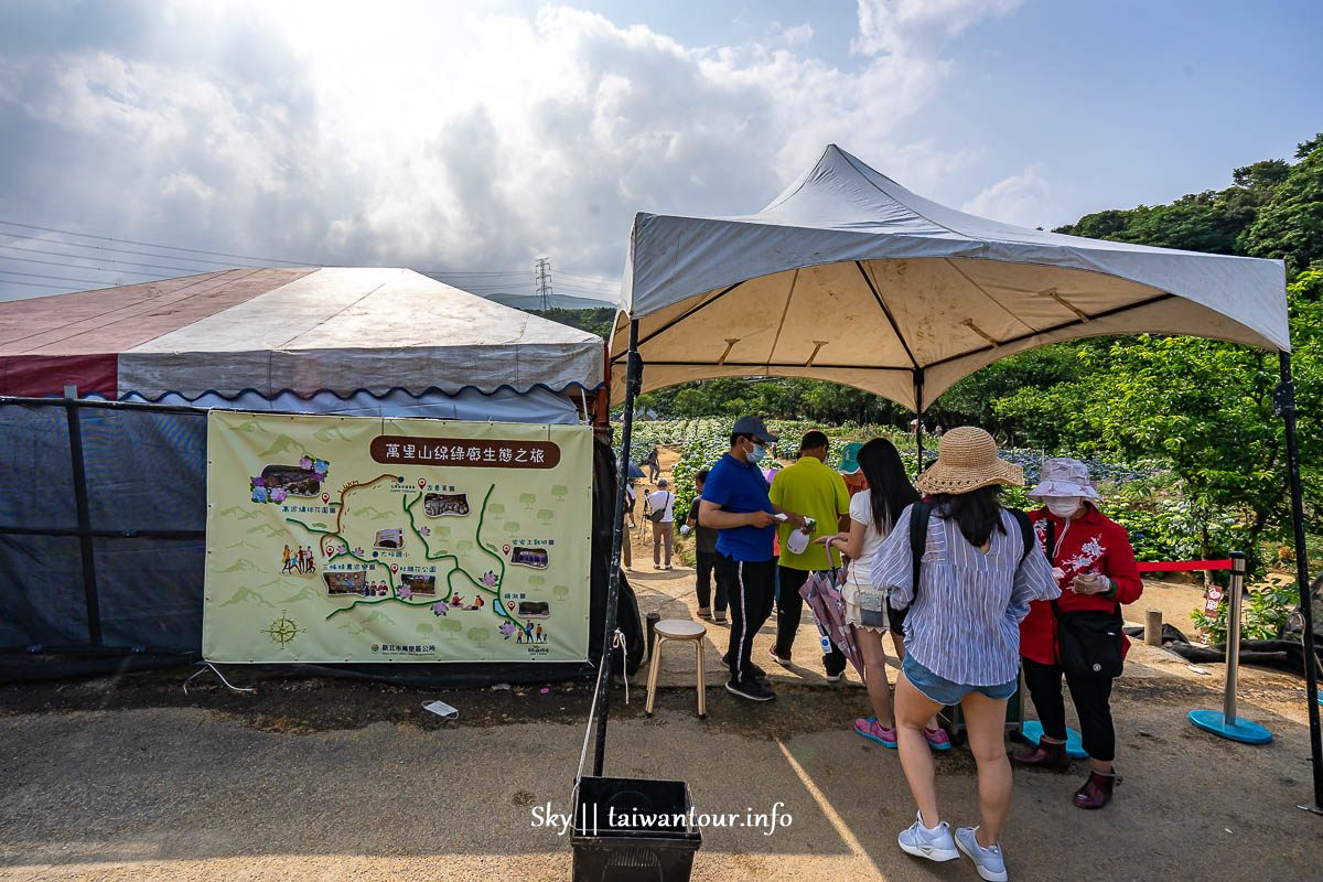 【高家繡球花.萬里第三園區】新北景點推薦怎麼去.地址.交通 【高家繡球花.萬里第三園區】新北景點推薦怎麼去.地址.交通