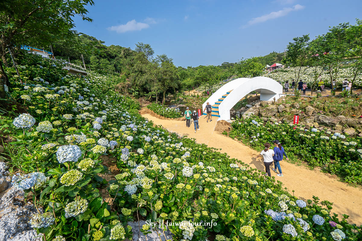【高家繡球花.萬里第三園區】新北景點推薦怎麼去.地址.交通 【高家繡球花.萬里第三園區】新北景點推薦怎麼去.地址.交通