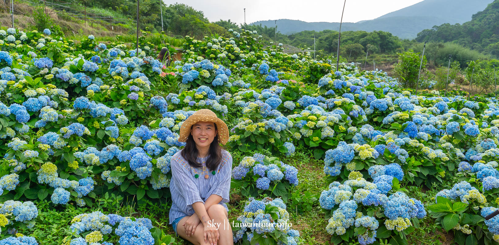 【高家繡球花.萬里第三園區】新北景點推薦怎麼去.地址.交通 【高家繡球花.萬里第三園區】新北景點推薦怎麼去.地址.交通
