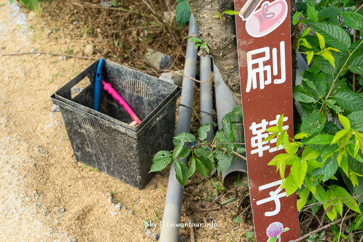 【高家繡球花.萬里第三園區】新北景點推薦怎麼去.地址.交通 【高家繡球花.萬里第三園區】新北景點推薦怎麼去.地址.交通