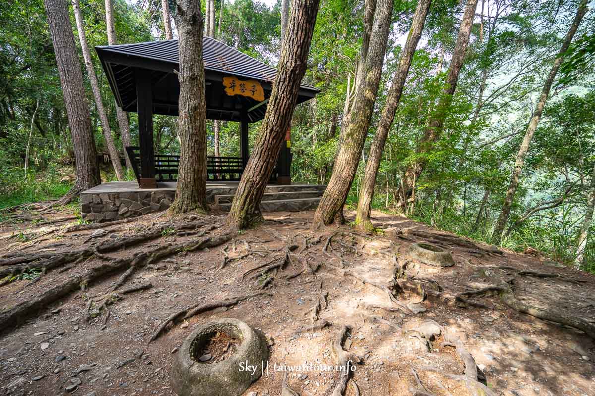 【八仙山國家森林遊樂區】台中景點親子踏青一日遊