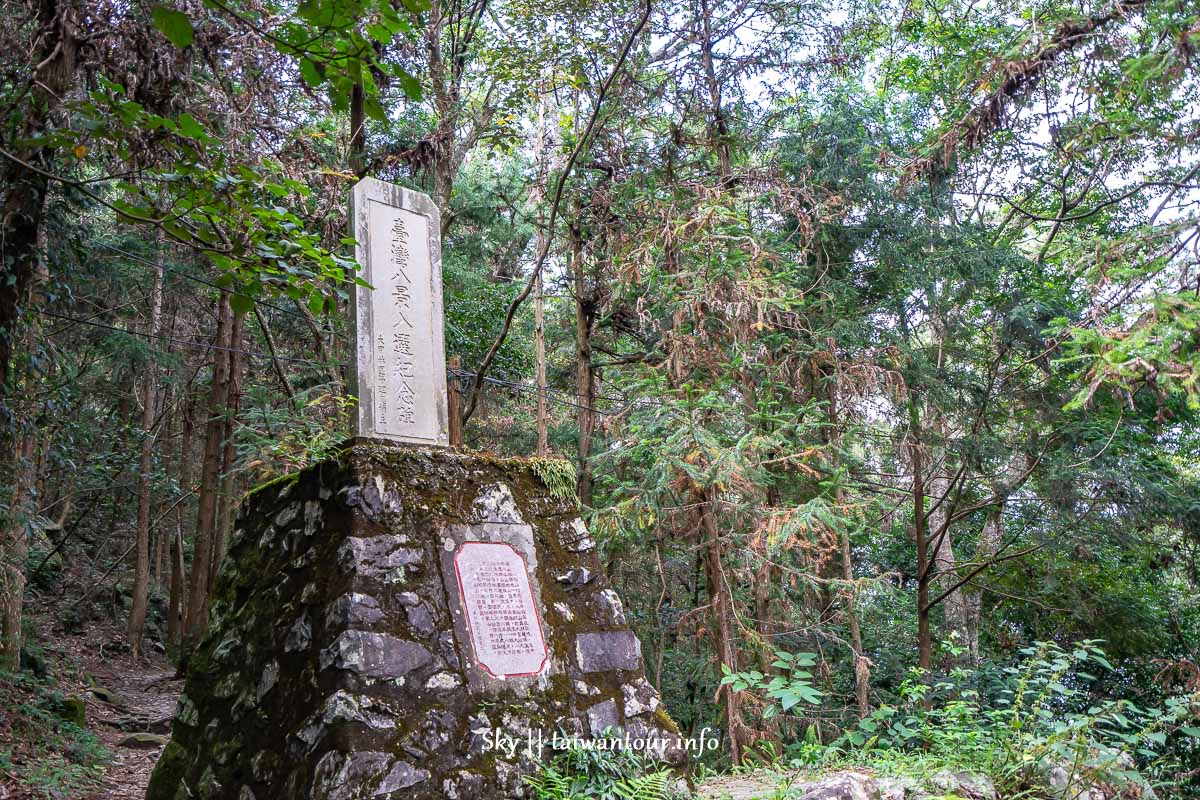 【八仙山國家森林遊樂區】台中景點親子踏青一日遊