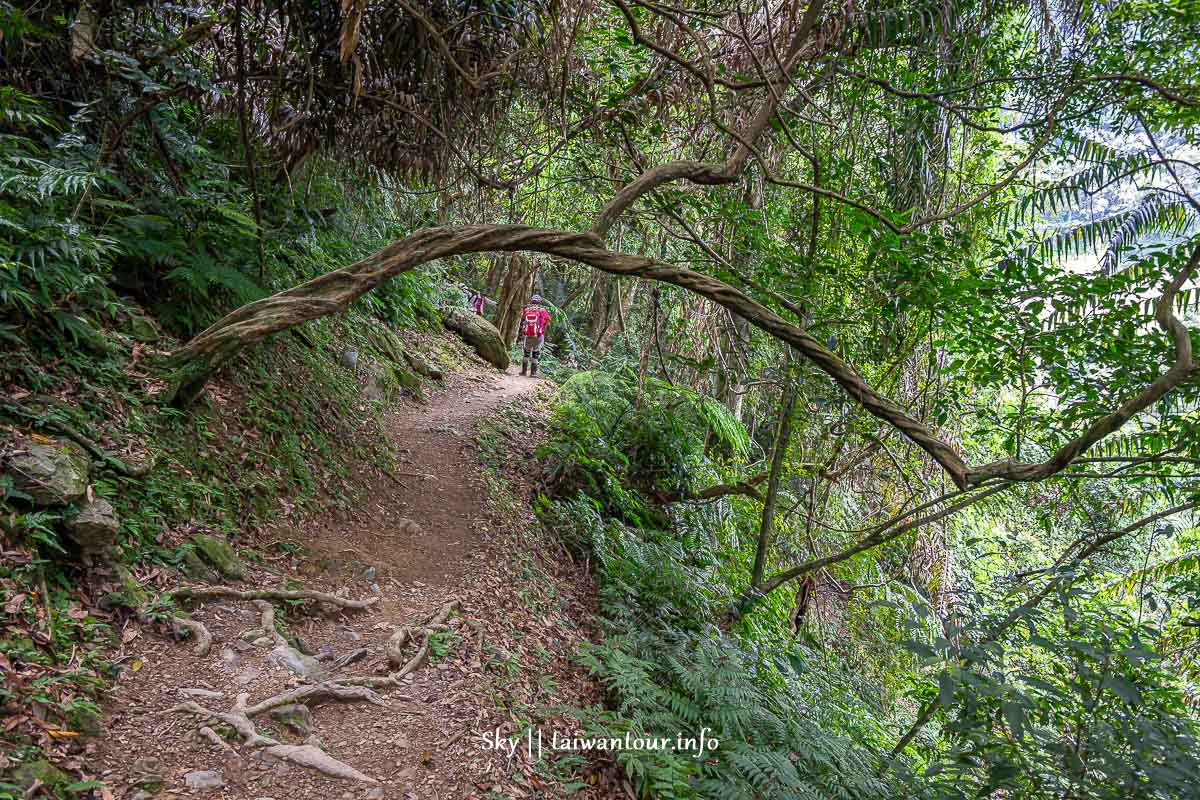 【信賢步道.內洞森林遊樂區】烏來瀑布群親子景點全台最多負離子 【信賢步道.內洞森林遊樂區】烏來瀑布群親子景點全台最多負離子