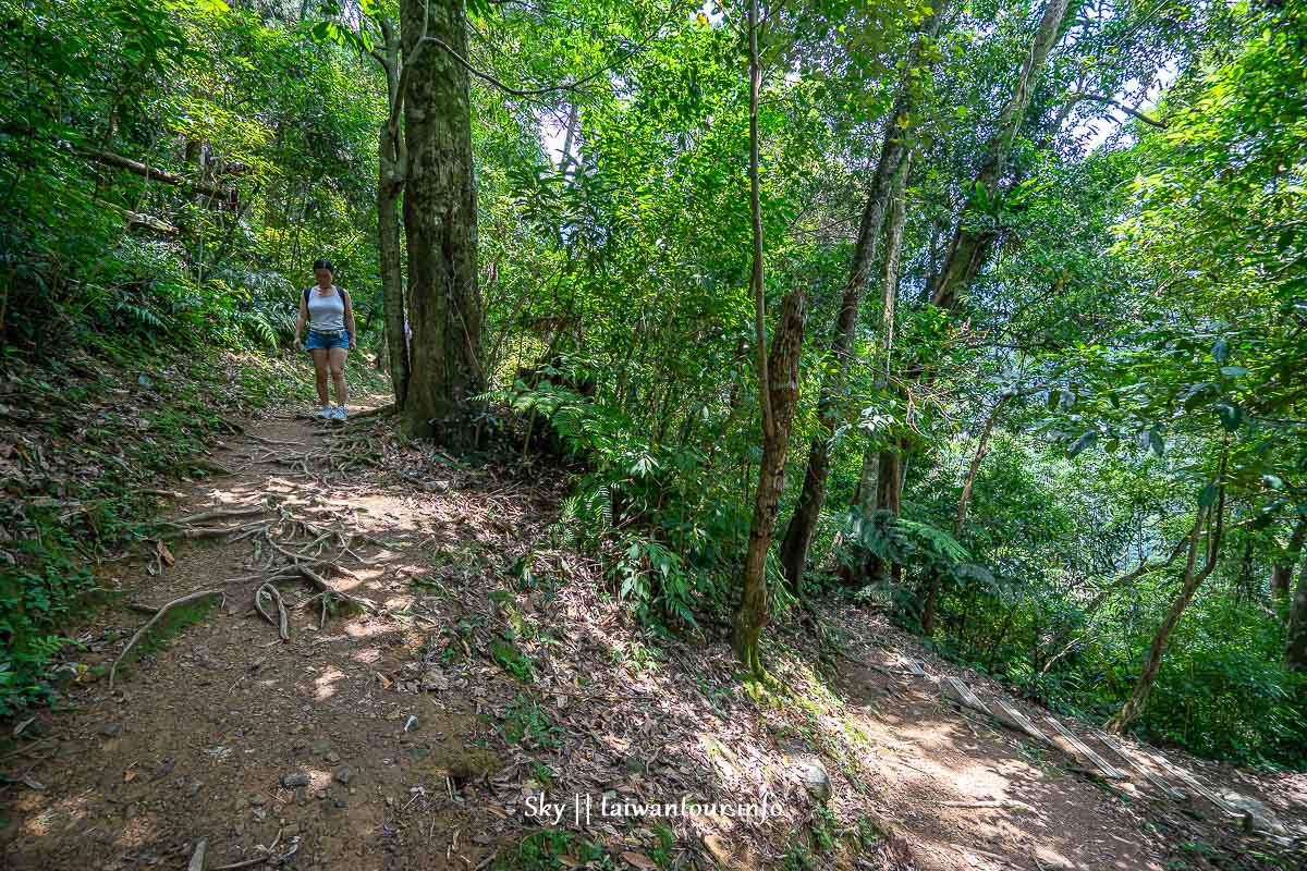 【信賢步道.內洞森林遊樂區】烏來瀑布群親子景點全台最多負離子 【信賢步道.內洞森林遊樂區】烏來瀑布群親子景點全台最多負離子