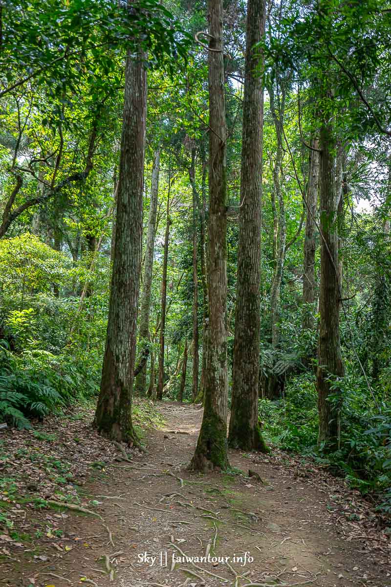 【信賢步道.內洞森林遊樂區】烏來瀑布群親子景點全台最多負離子 【信賢步道.內洞森林遊樂區】烏來瀑布群親子景點全台最多負離子