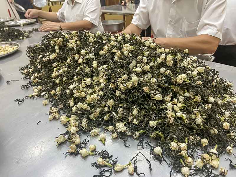 彰化花壇景點【茉莉花壇夢想館】親子旅遊.門票花季