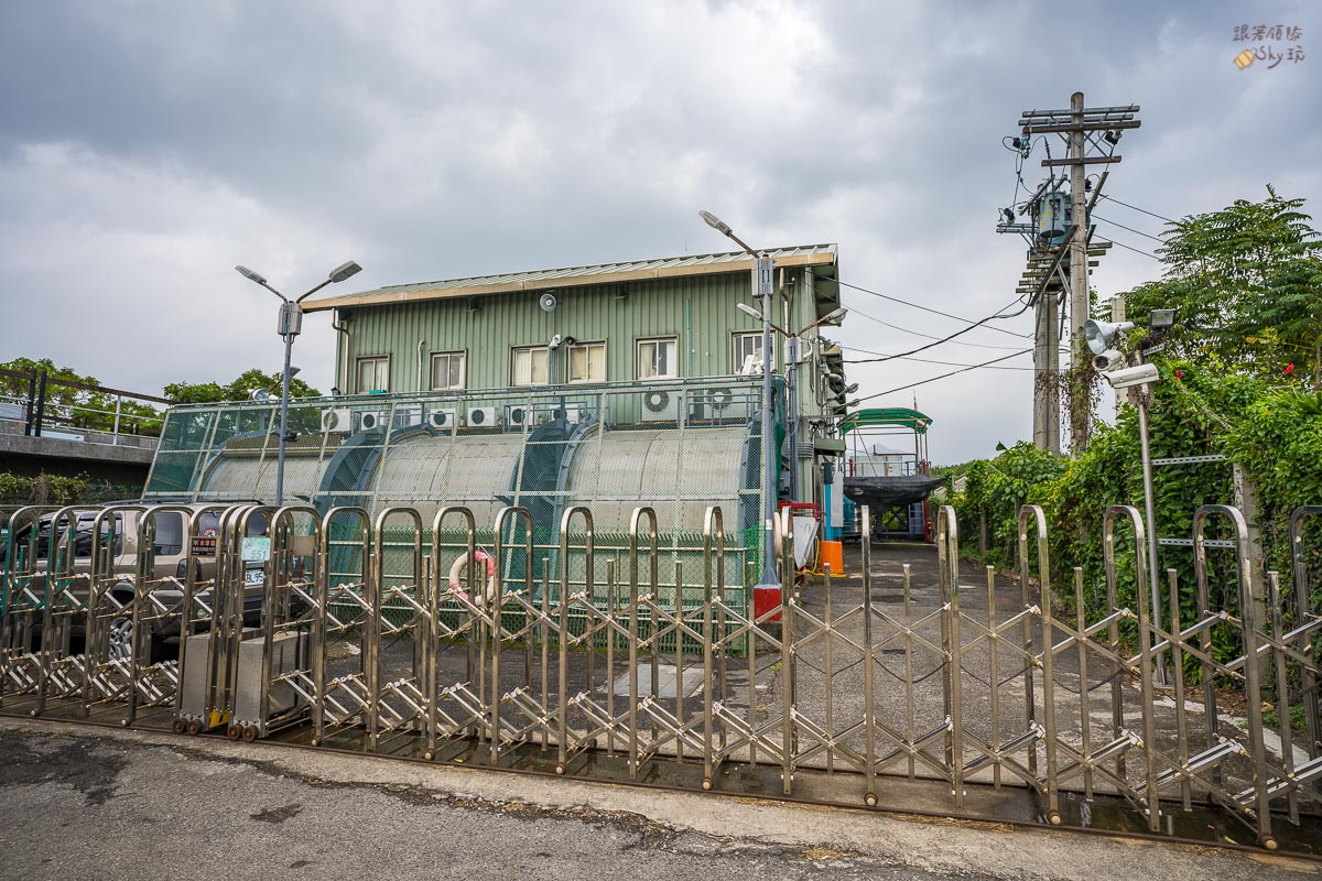 【2022愛戀關渡花現幸福花海】地址交通公車.怎麼去.花期.花況