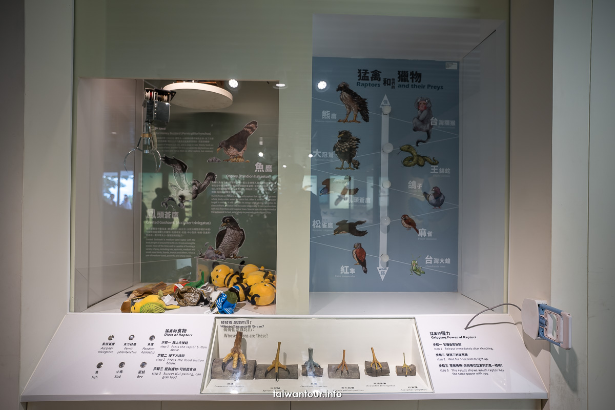 【觀音山猛禽展示館】VR互動親子旅遊景點.美食