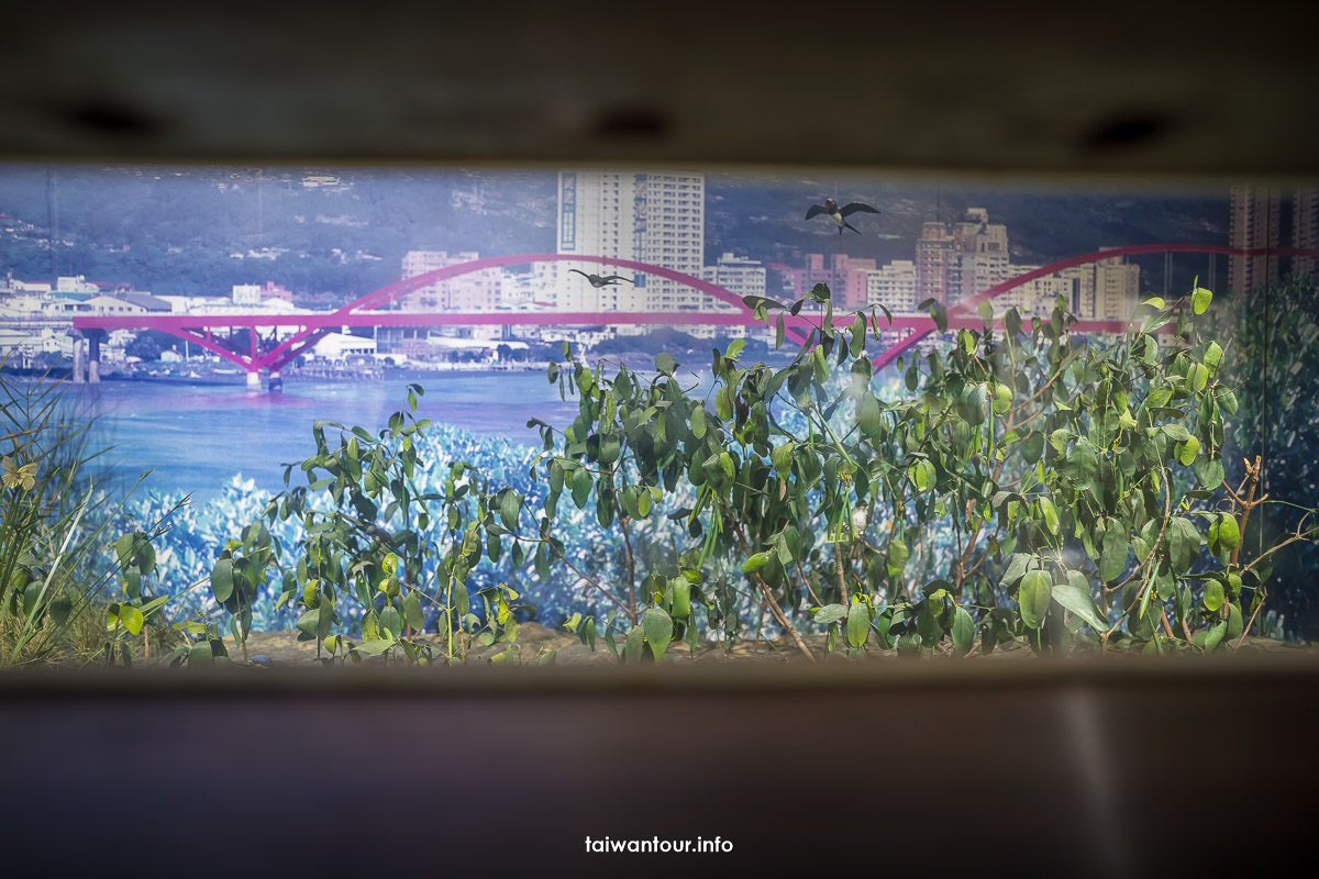 【台北探索館】360度發現劇場,免門票親子景點,雨天室內備案 【台北探索館】360度發現劇場,免門票親子景點,雨天室內備案