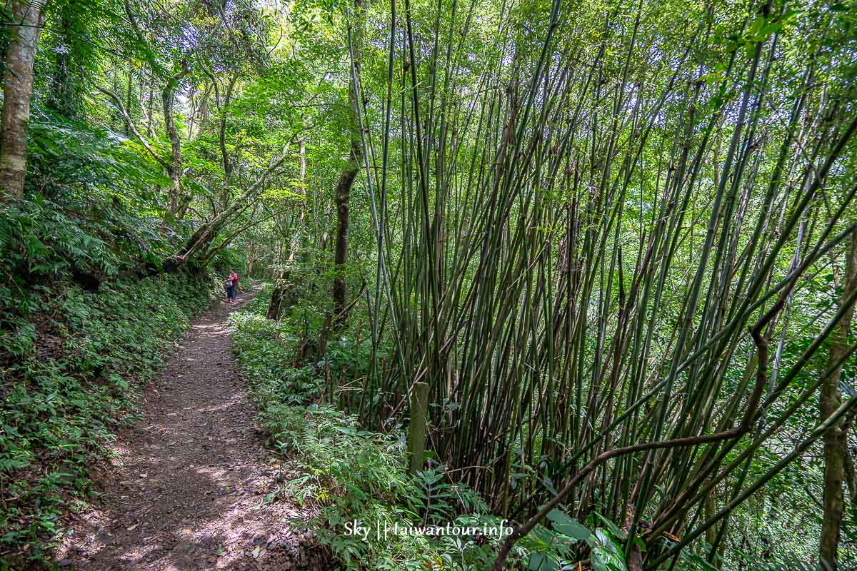 【三峽雲森瀑布】新北秘境廣告景點親子步道 【三峽雲森瀑布】新北秘境廣告景點親子步道