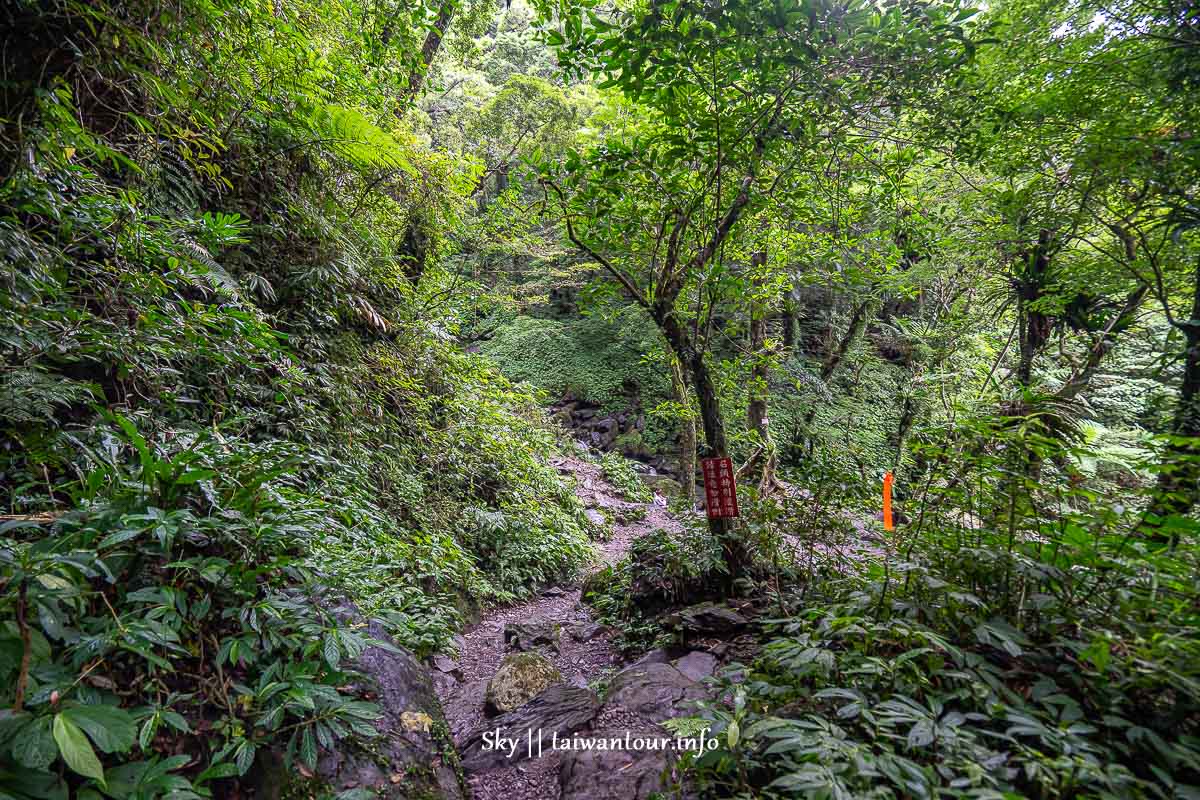 【三峽雲森瀑布】新北秘境廣告景點親子步道 【三峽雲森瀑布】新北秘境廣告景點親子步道