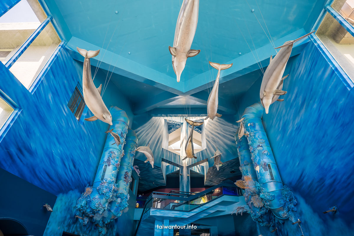 【澎湖水族館】親子景點門票優惠.值得去嗎.交通