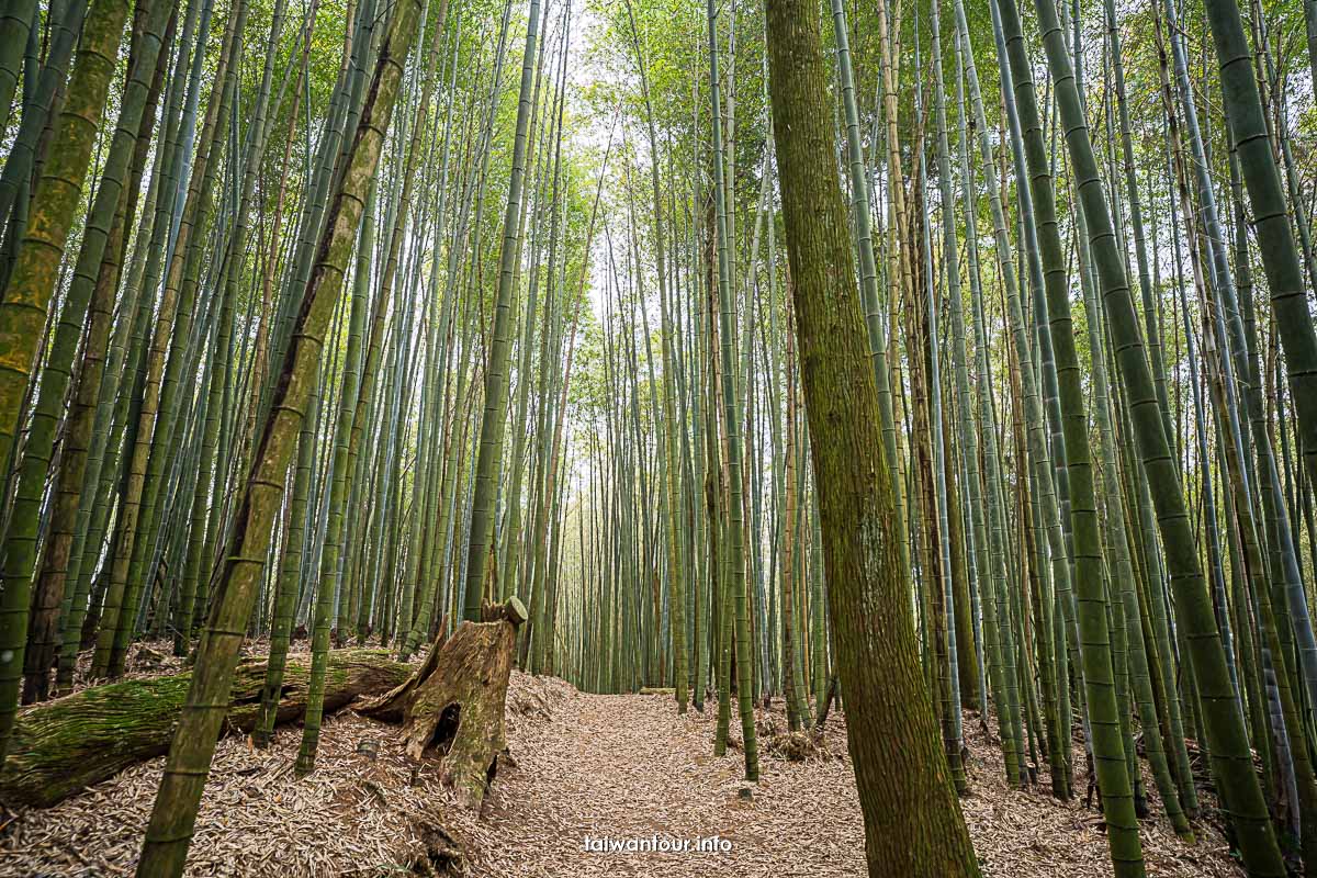 【雲林古坑一二日遊9大美食景點推薦】IG熱門打卡.咖啡廳行程