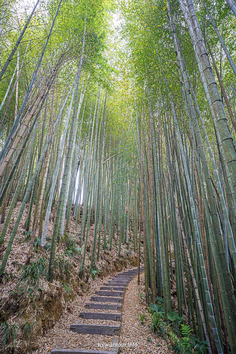 【石壁木馬古道】雲林秘境地址.路線.住宿推薦