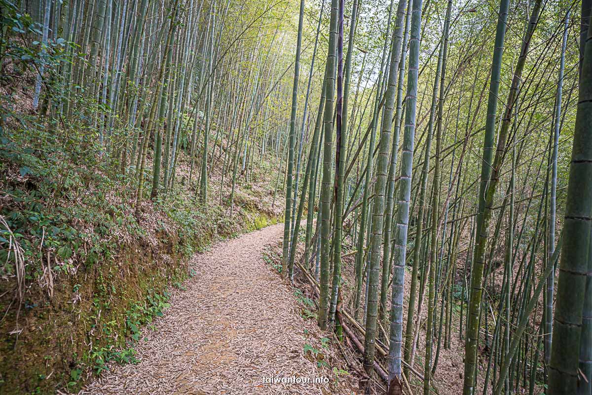 【石壁木馬古道】雲林秘境地址.路線.住宿推薦