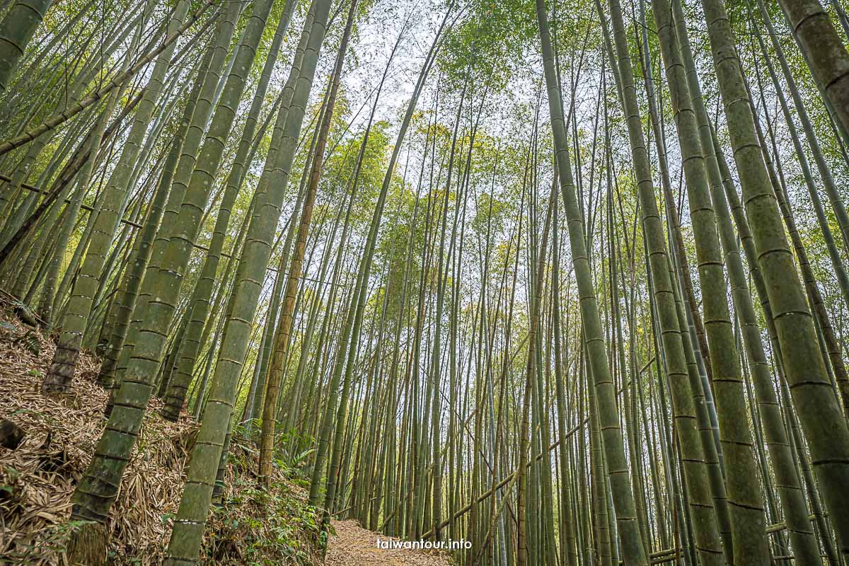 【石壁木馬古道】雲林秘境地址.路線.住宿推薦