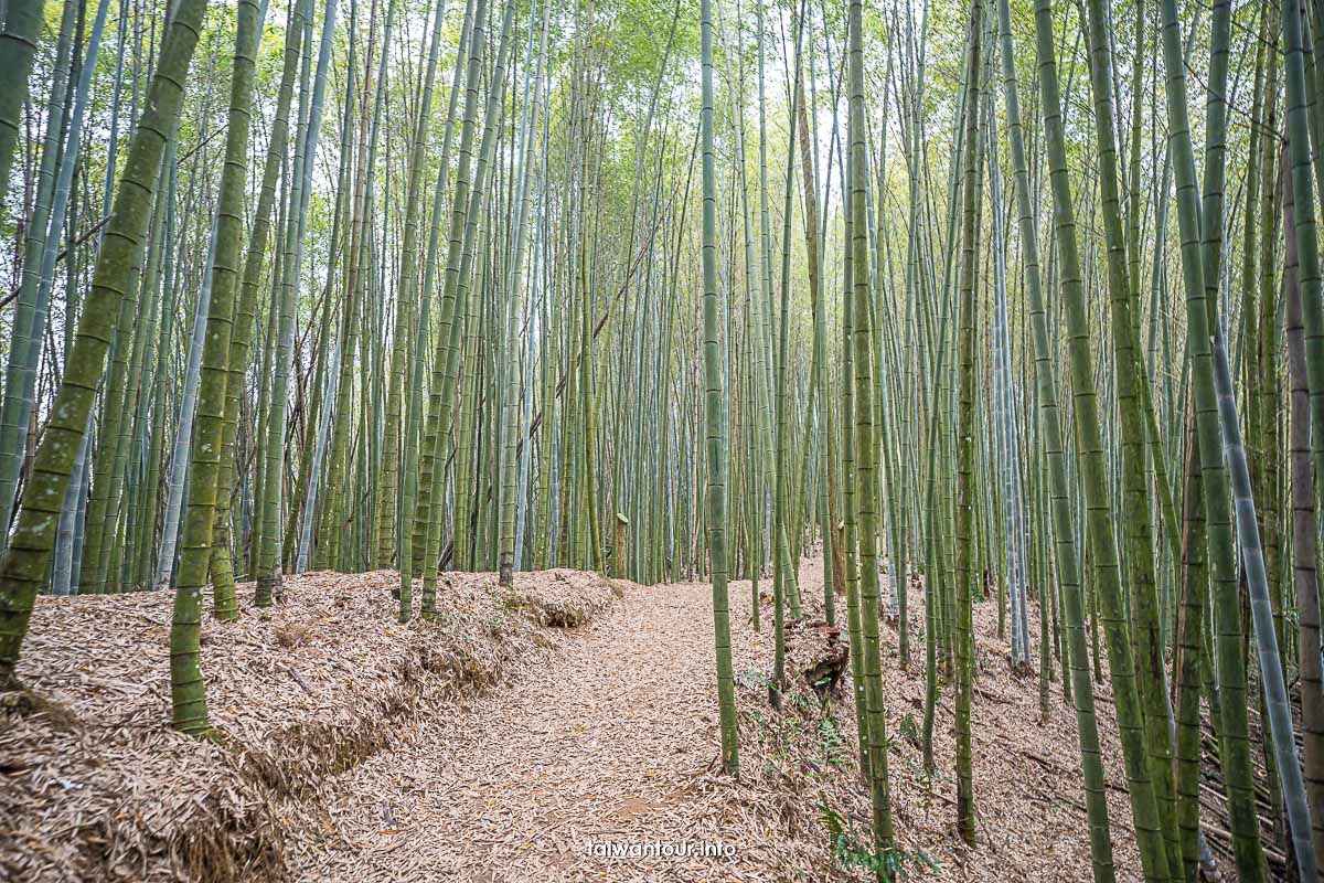 【石壁木馬古道】雲林秘境地址.路線.住宿推薦