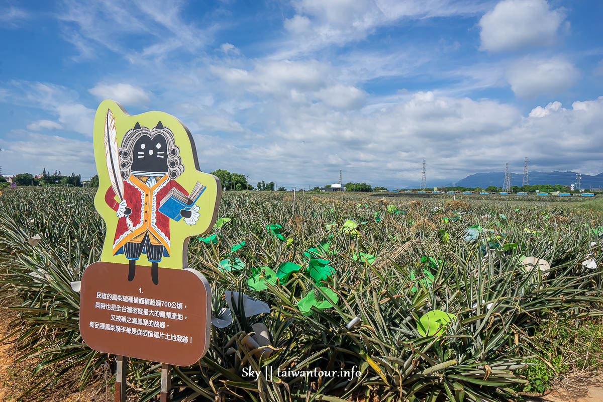 【旺萊山鳳梨文化園區】嘉義民雄免費親子景點伴手禮.附近景點