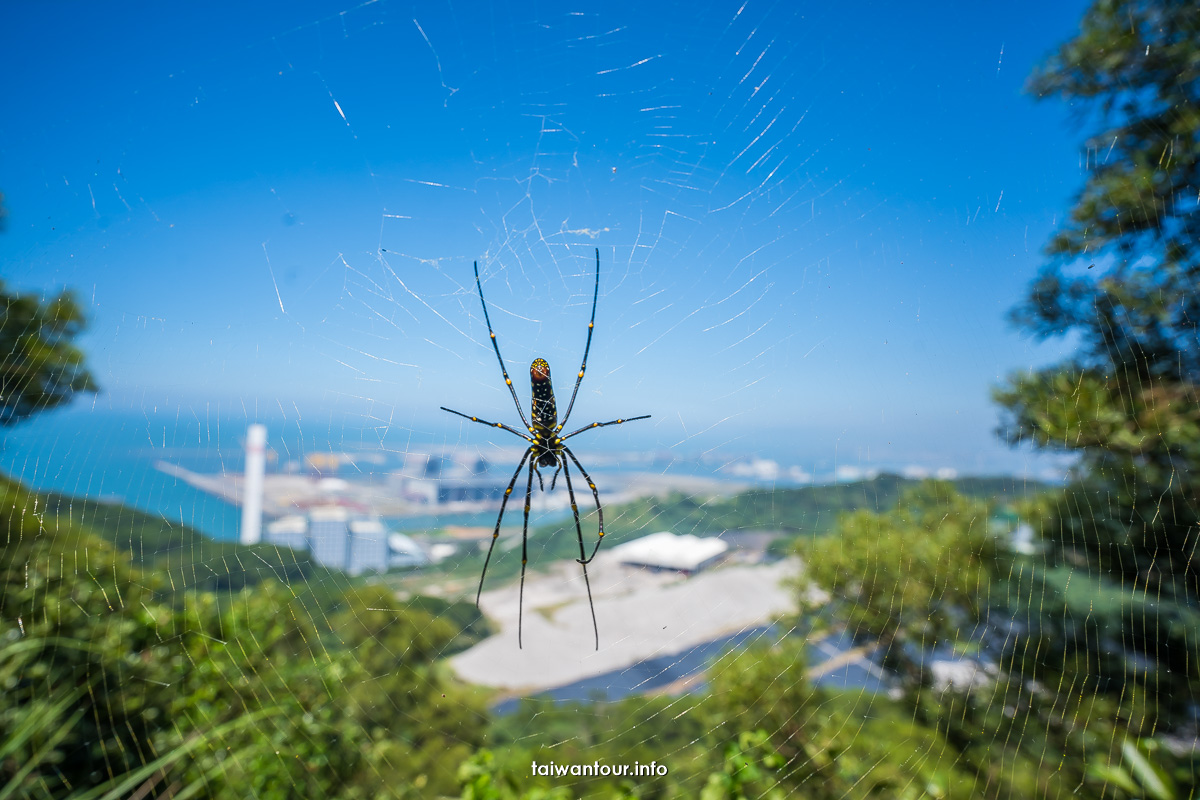 【太平濱海步道】林口親子登山步道.開車.美食介紹