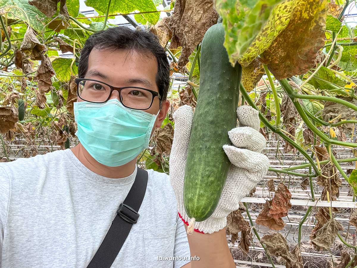 【卓蘭壢西坪休區】農村小旅行親子景點一日遊