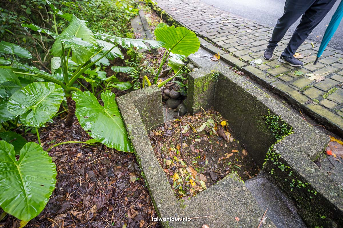 【仁山植物園】宜蘭冬山親子景點.無障礙步道.交通.門票