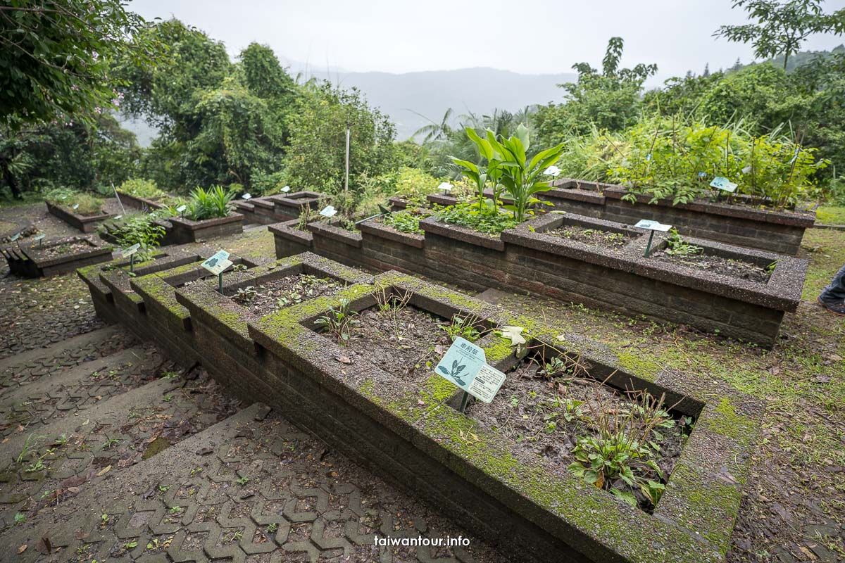 【仁山植物園】宜蘭冬山親子景點.無障礙步道.交通.門票