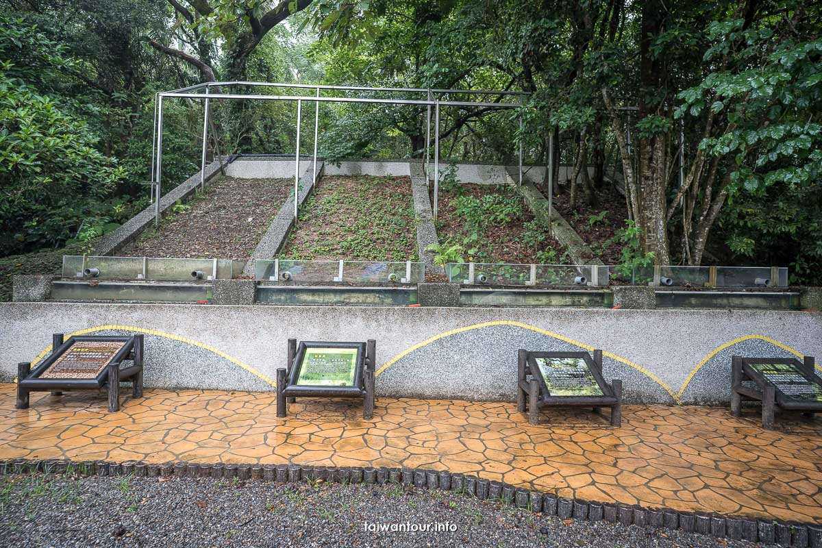 【仁山植物園】宜蘭冬山親子景點.無障礙步道.交通.門票