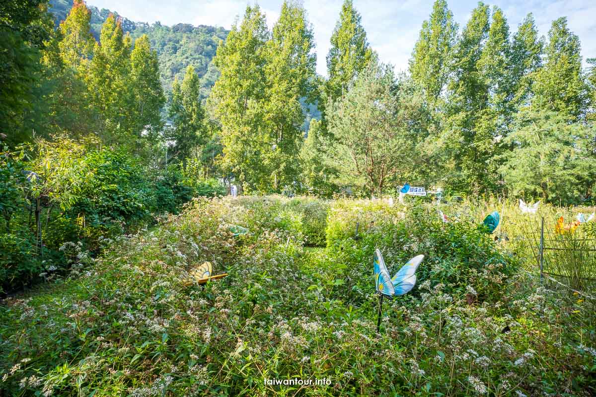 【台一生態休閒農場(楓樺台一渡假村)】南投埔里親子住宿景點推薦