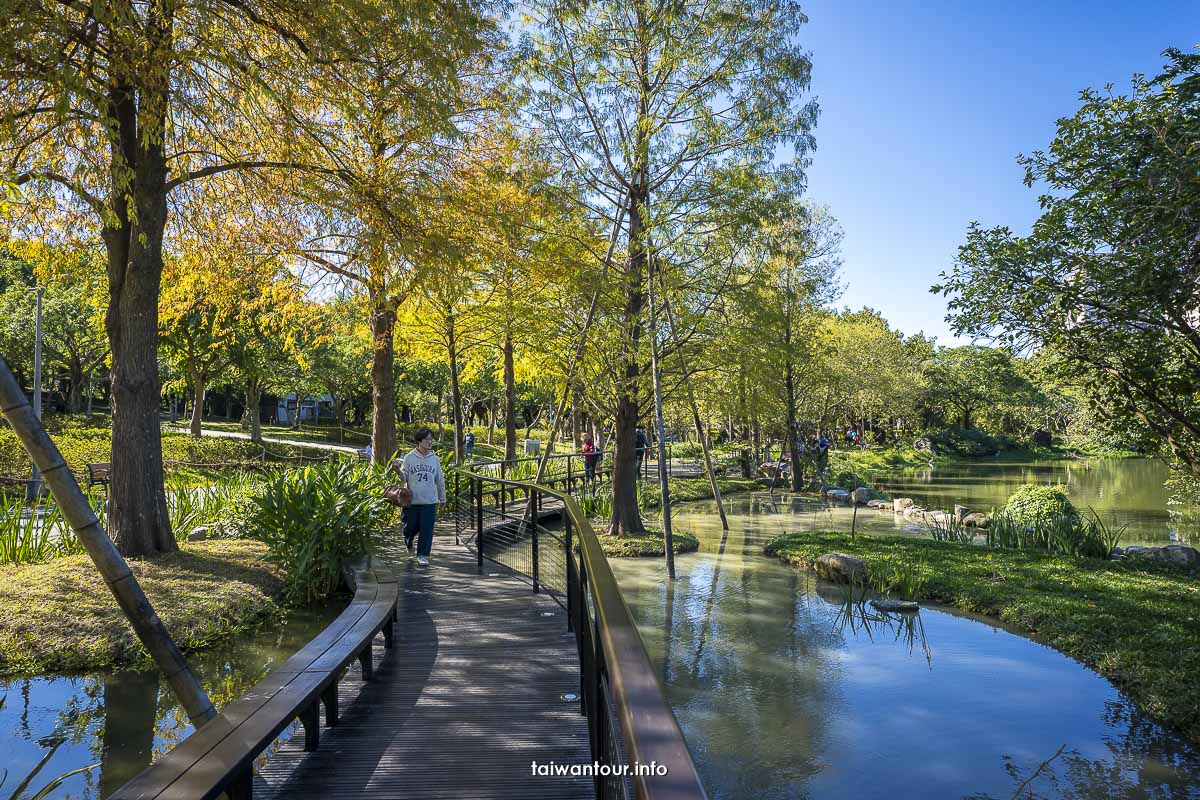 【大安森林公園森林之王遊戲場】台北市特色公園網美秘境