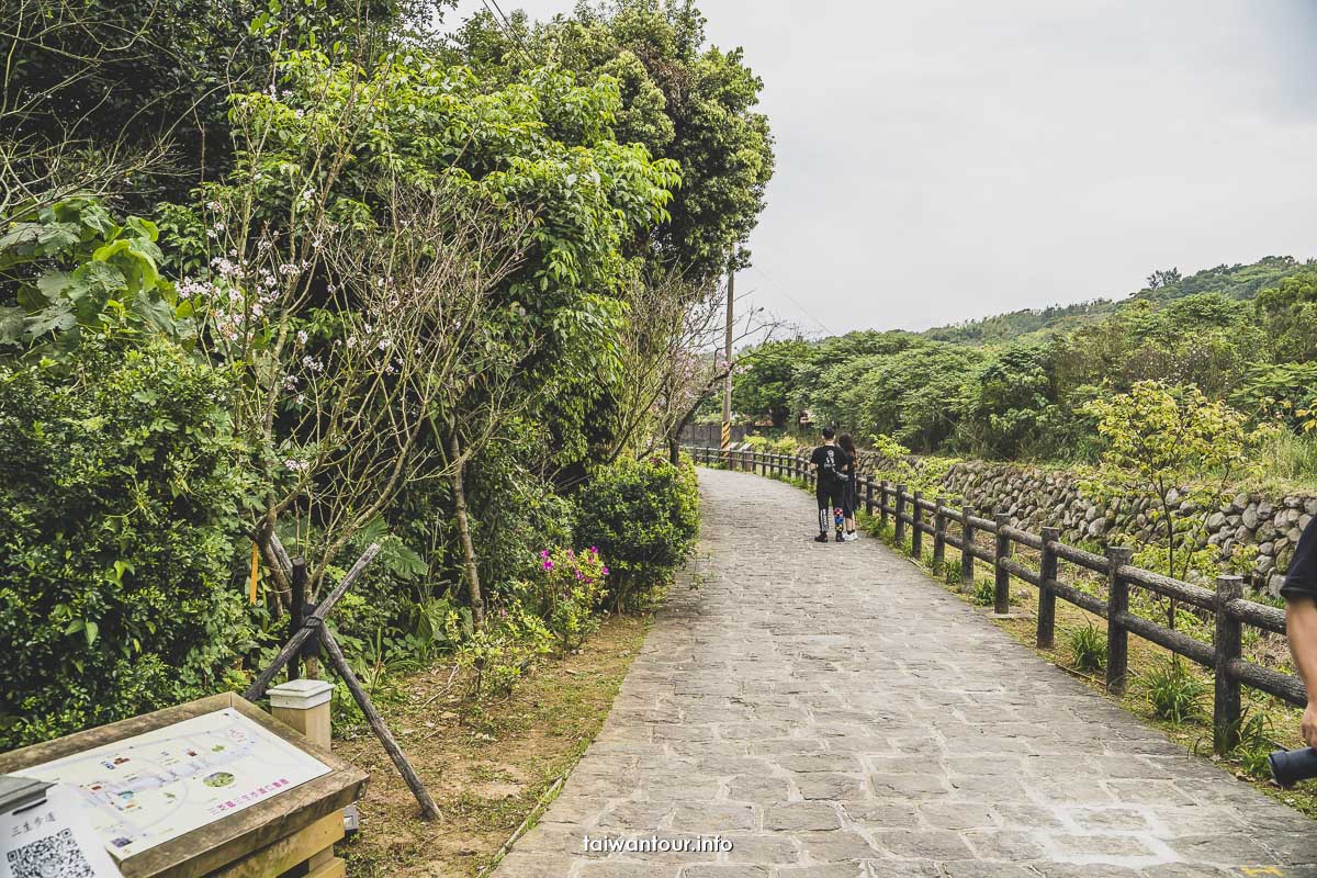 【三芝三生步道】賞櫻花景點推薦.開車交通.停車.午餐