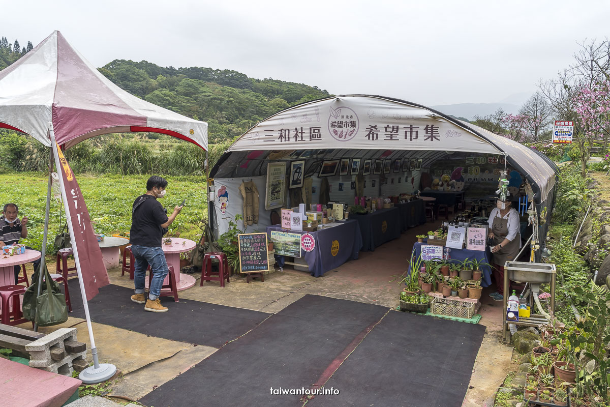 【三芝三生步道】賞櫻花景點推薦.開車交通.停車.午餐