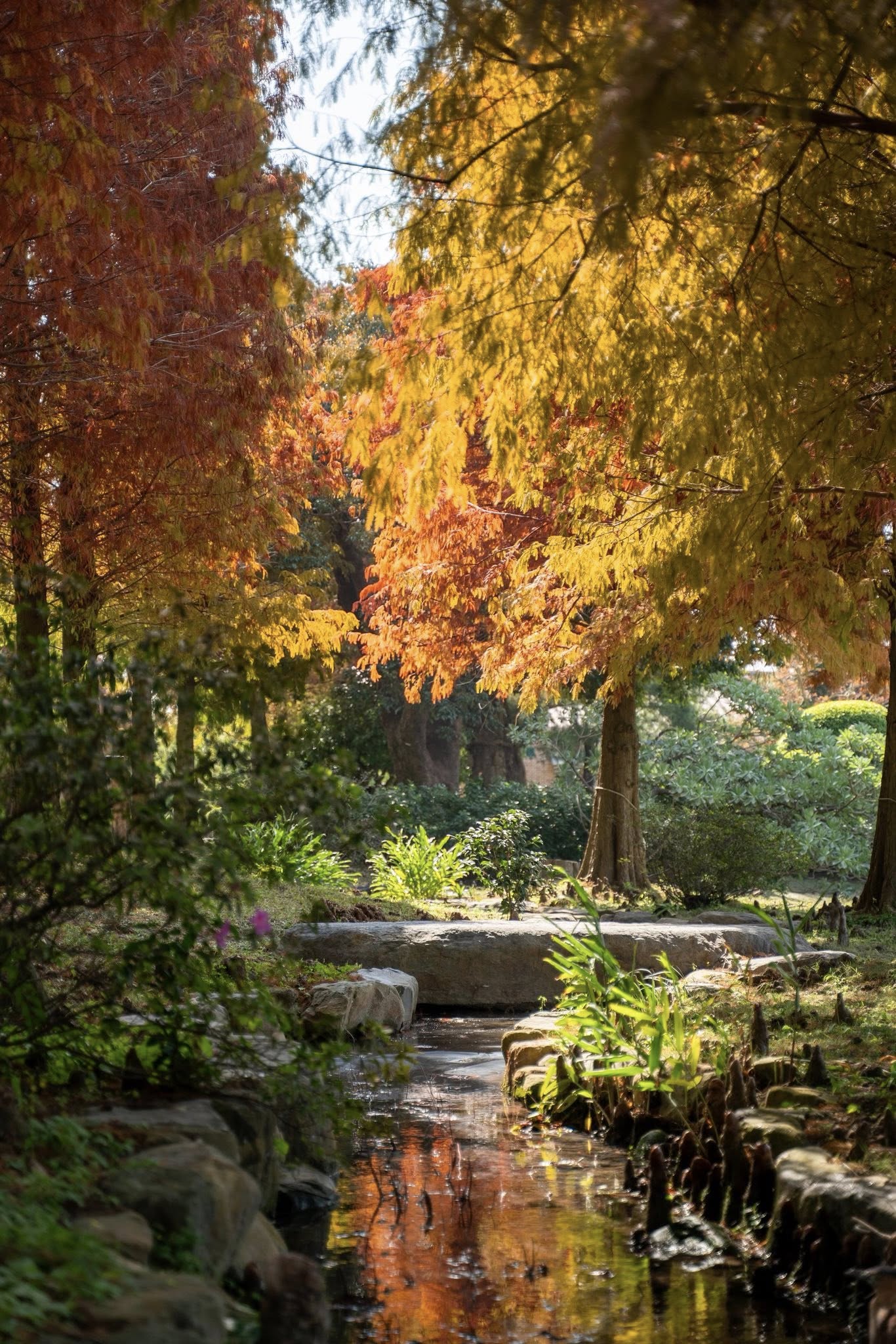 【成美文化園 Cheng Mei Cultuarl Park】彰化景點推薦.親子旅遊.網美拍照秘境