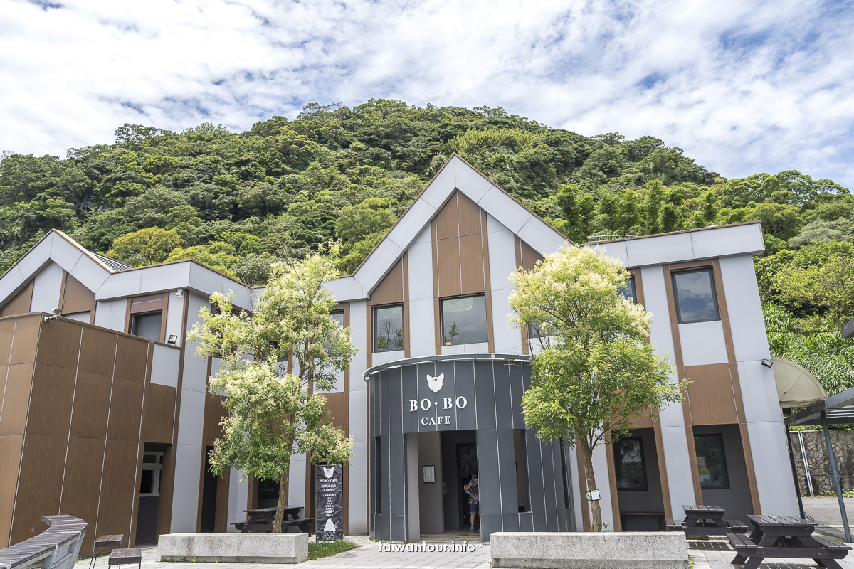 【豹豹咖啡館•森林館】五股貓奴親子景點推薦