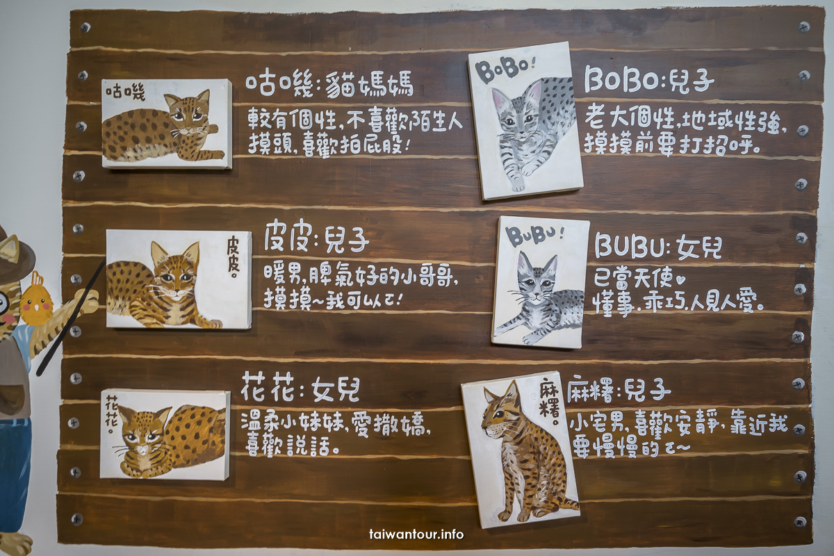 【豹豹咖啡館•森林館】五股貓奴親子景點推薦