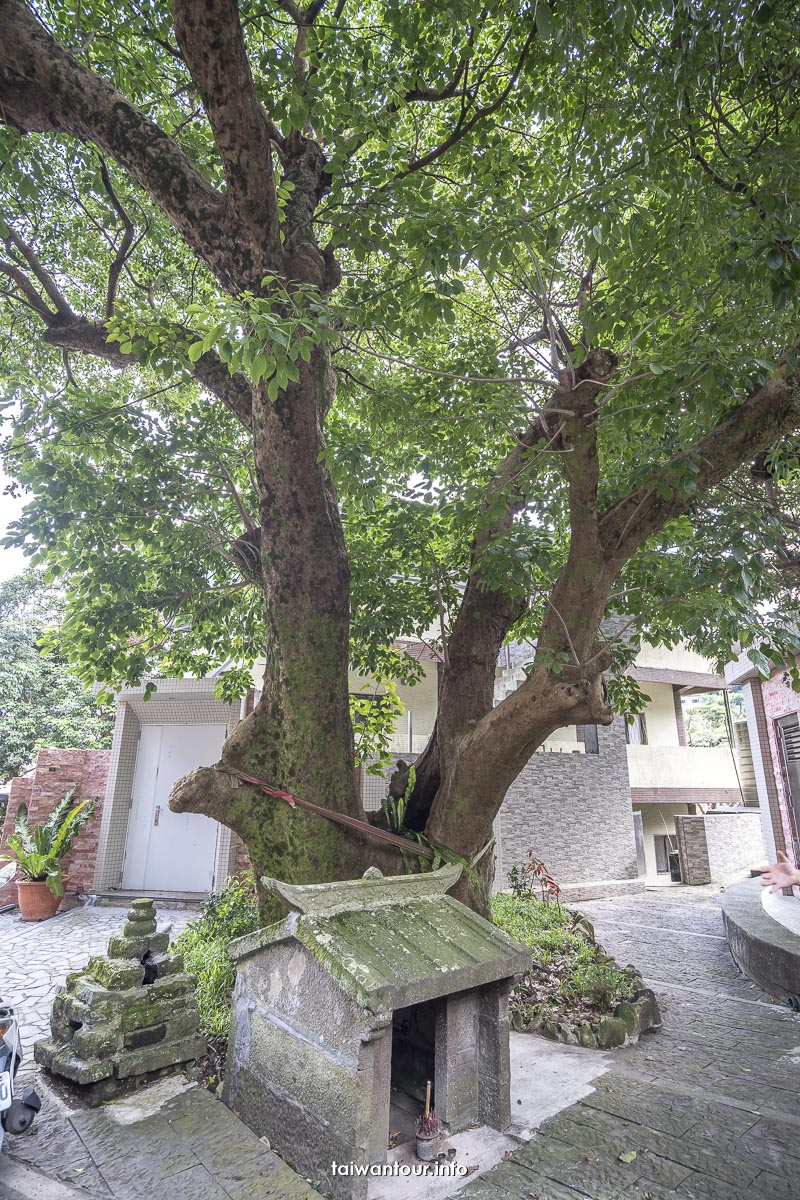 【凌雲寺】五股觀音山景點推薦.交通.步道