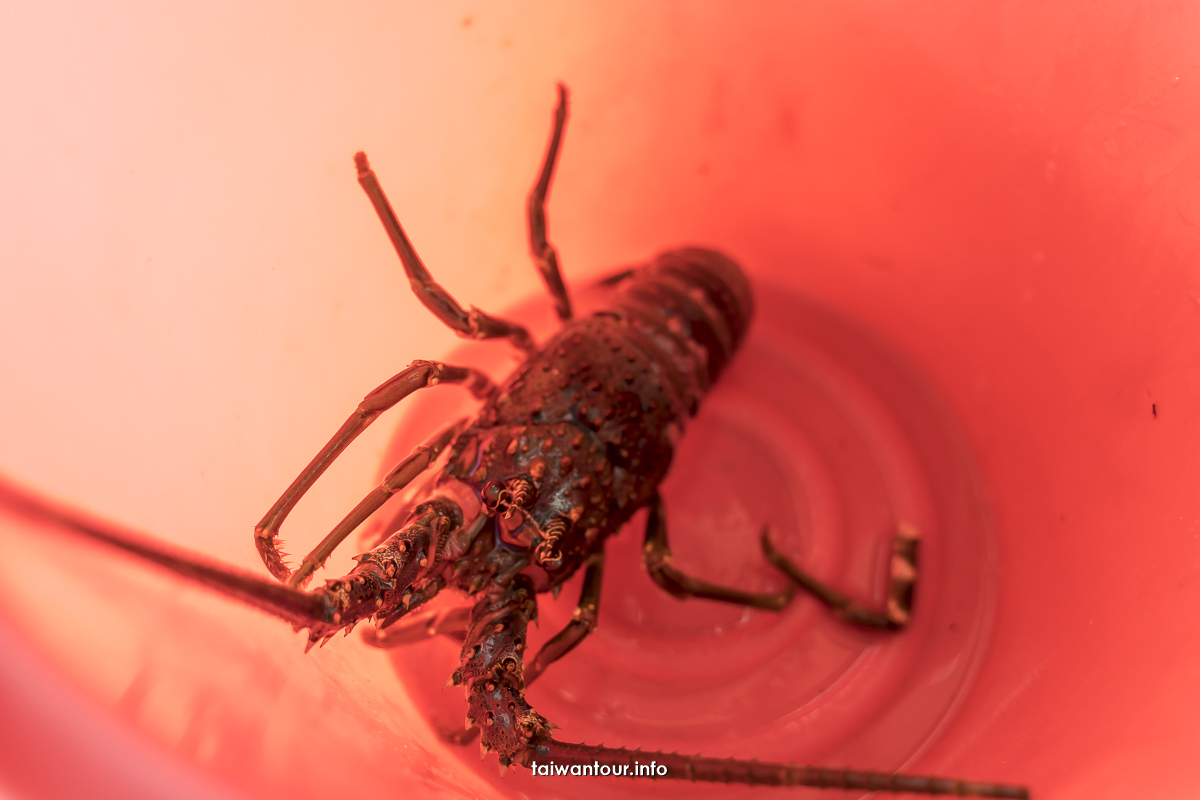 【Umi屋銤海鮮料理】花蓮壽豐鹽寮龍蝦海鮮料理推薦.無敵海景 【Umi屋銤海鮮料理】花蓮壽豐鹽寮龍蝦海鮮料理推薦.無敵海景