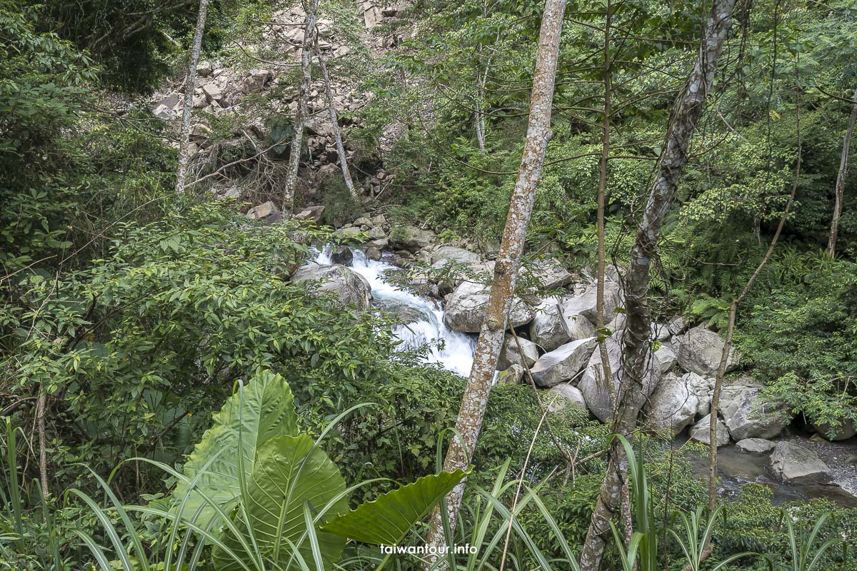 【冬瓜山步道.瀑布】苗栗泰安親子玩水秘境景點