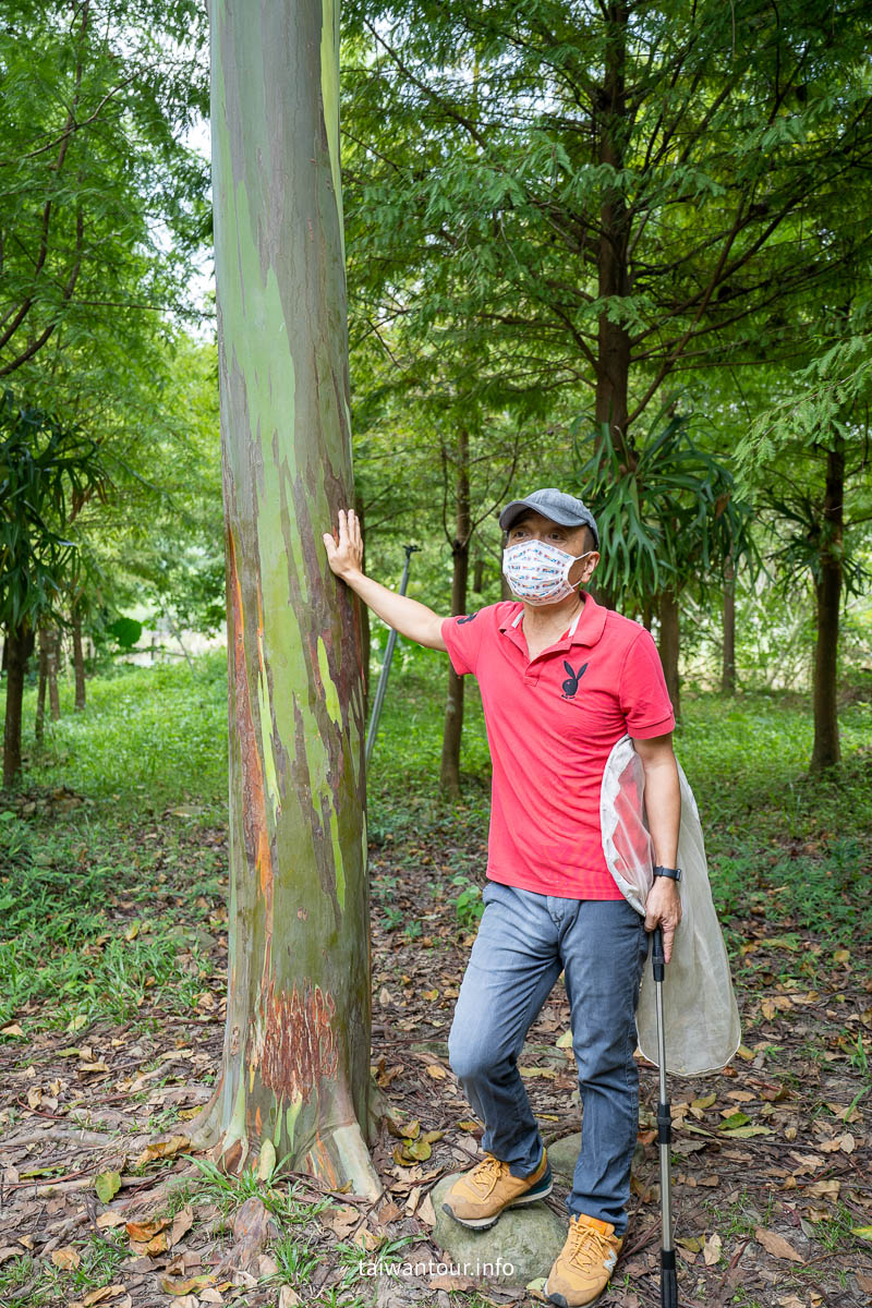 【築夢森居】攀樹.攀岩.飄飄河.嘉義親子體驗景點