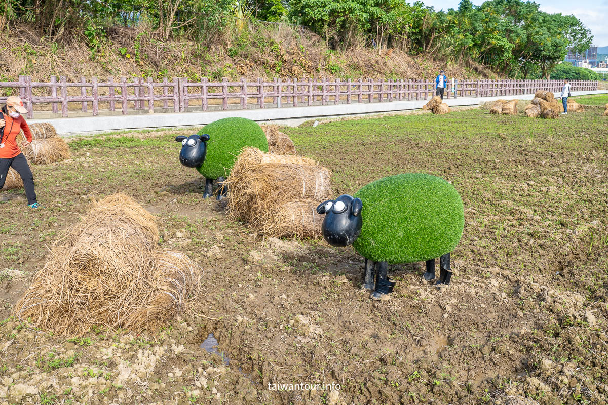 【2022愛戀關渡花現幸福花海】地址交通公車.怎麼去.花期.花況