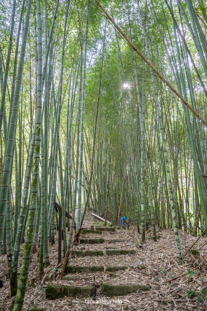 【嘉義瑞里166軸線二日遊】美食親子景點推薦