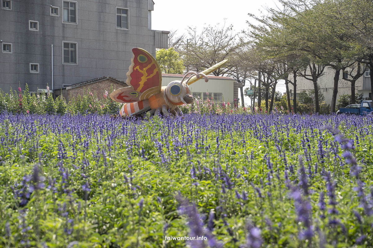 【2023學甲蜀葵花海】台南親子景點推薦.交通.地址