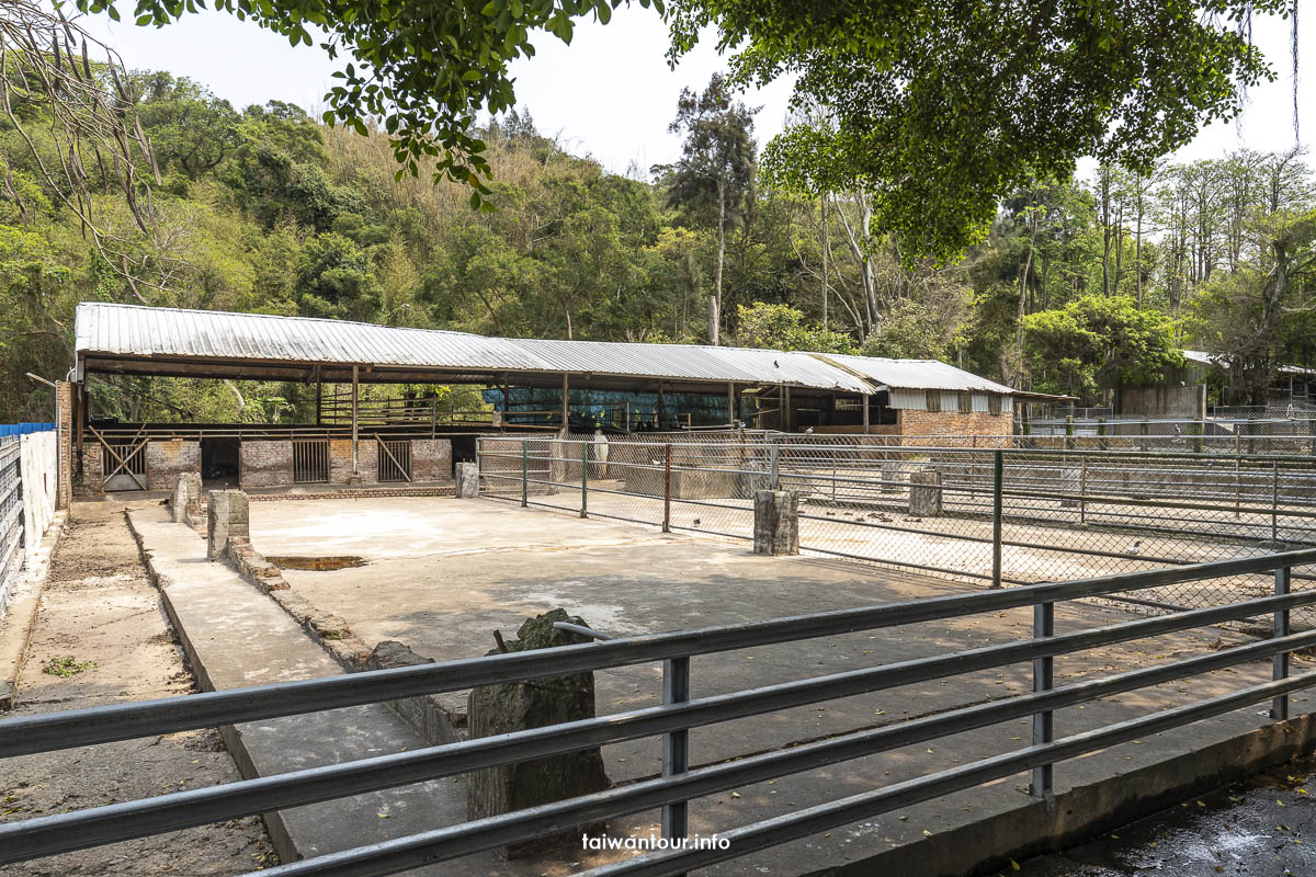 【台灣水牛城】苗栗後龍親子景點推薦.烤肉吃到飽 【台灣水牛城】苗栗後龍親子景點推薦.烤肉吃到飽