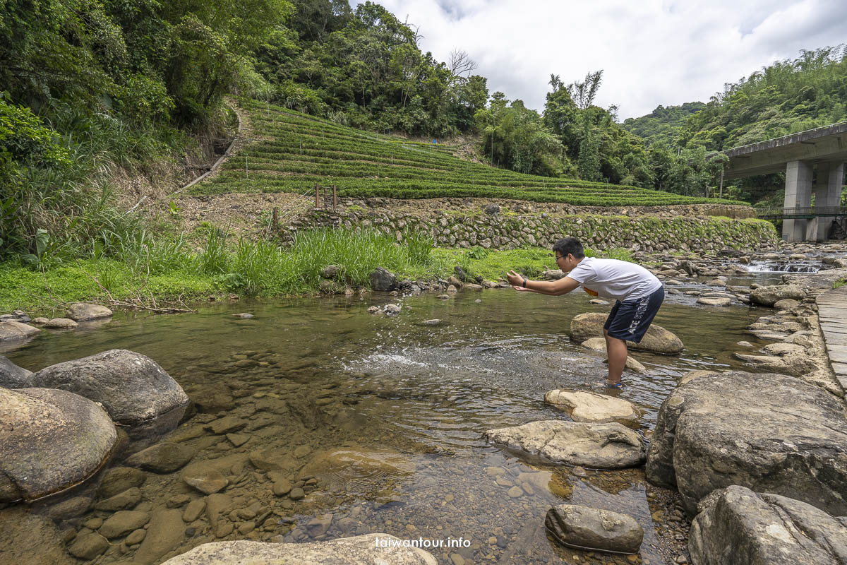 【下坑子口溪親水遊憩區】新北坪林親子玩水景點 【下坑子口溪親水遊憩區】新北坪林親子玩水景點