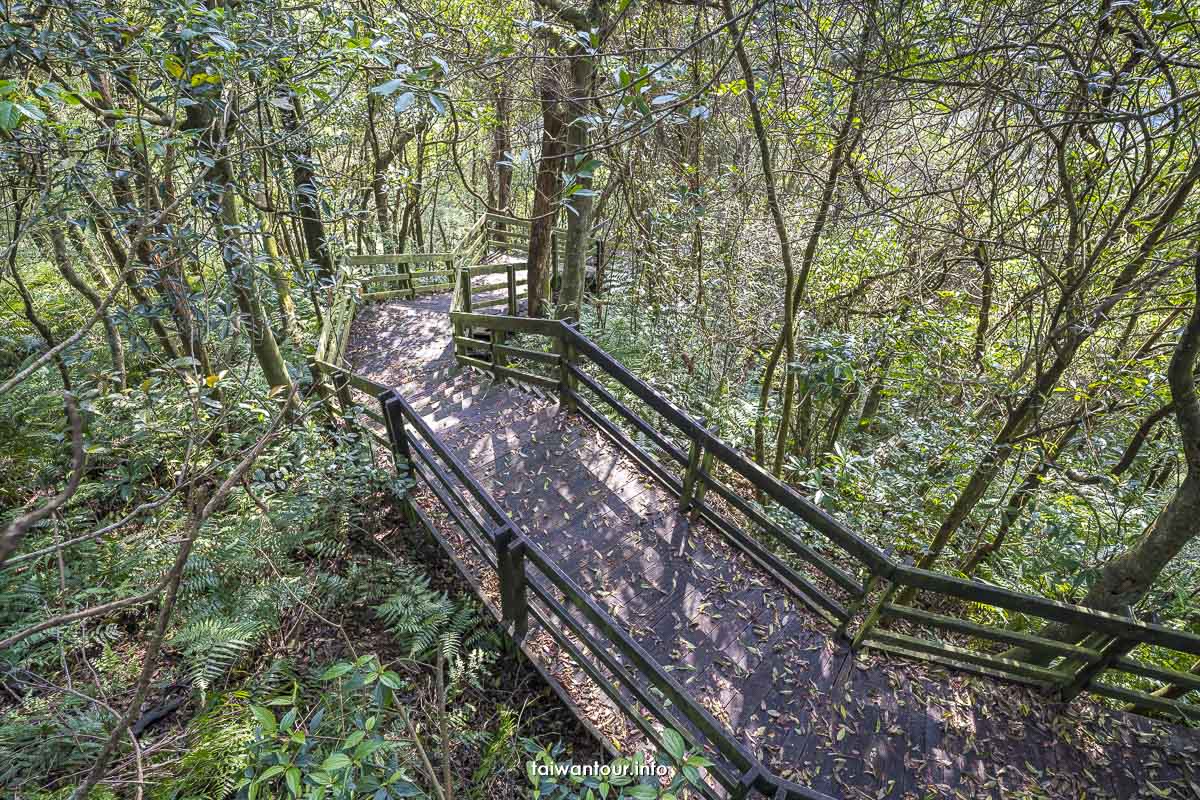 【南港示範茶廠環山步道.茶葉製造廠】南港親子景點.螢火蟲 【南港示範茶廠環山步道.茶葉製造廠】南港親子景點.螢火蟲