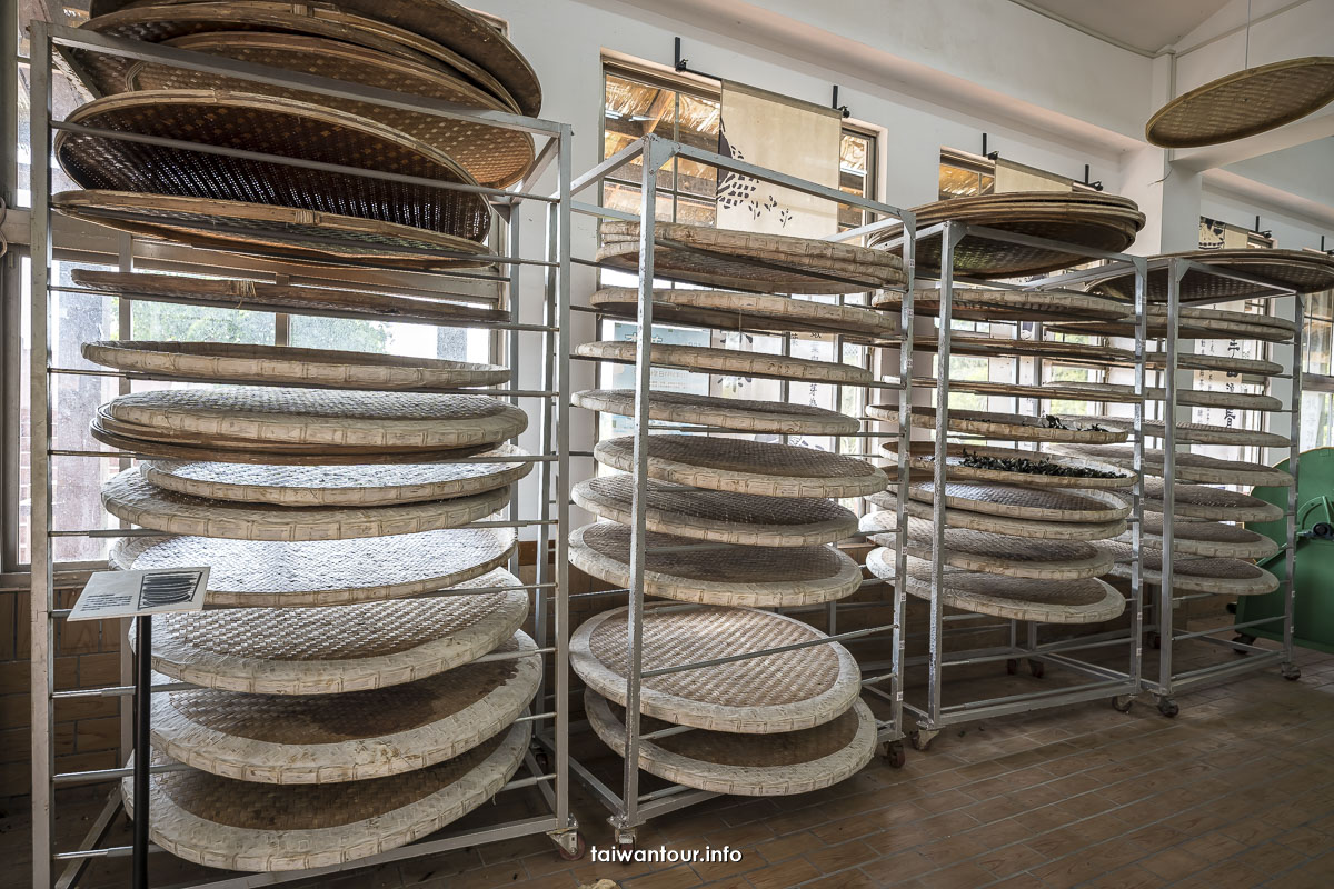 【南港示範茶廠環山步道.茶葉製造廠】南港親子景點.螢火蟲 【南港示範茶廠環山步道.茶葉製造廠】南港親子景點.螢火蟲