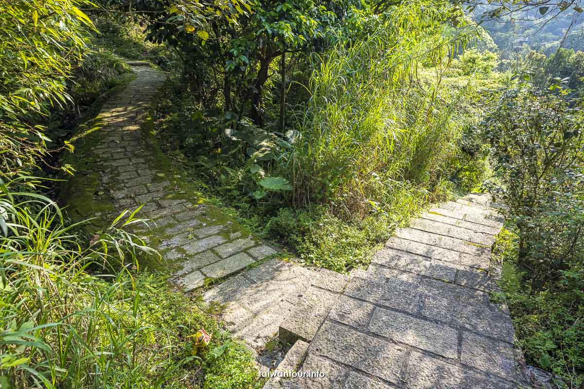 【南港示範茶廠環山步道.茶葉製造廠】南港親子景點.螢火蟲 【南港示範茶廠環山步道.茶葉製造廠】南港親子景點.螢火蟲