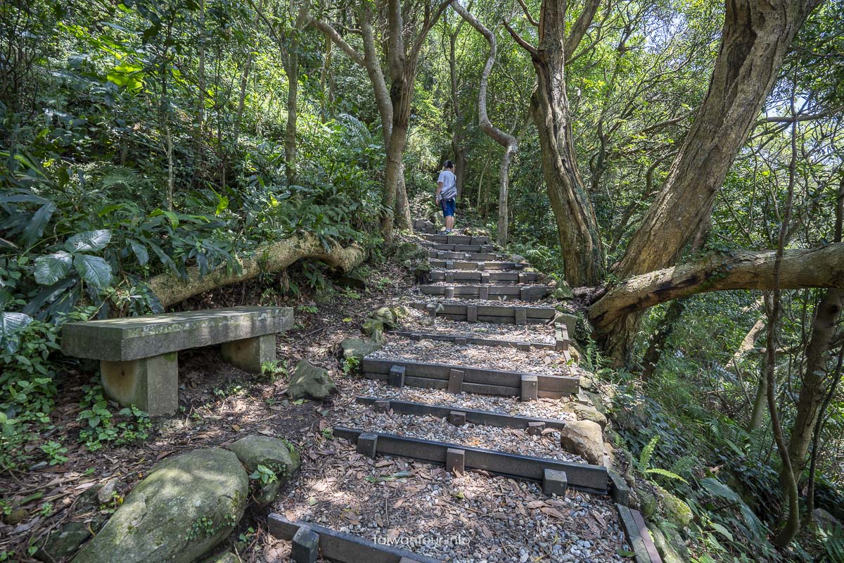 【牛港稜山登山步道】五股親子景點推薦.觀音山