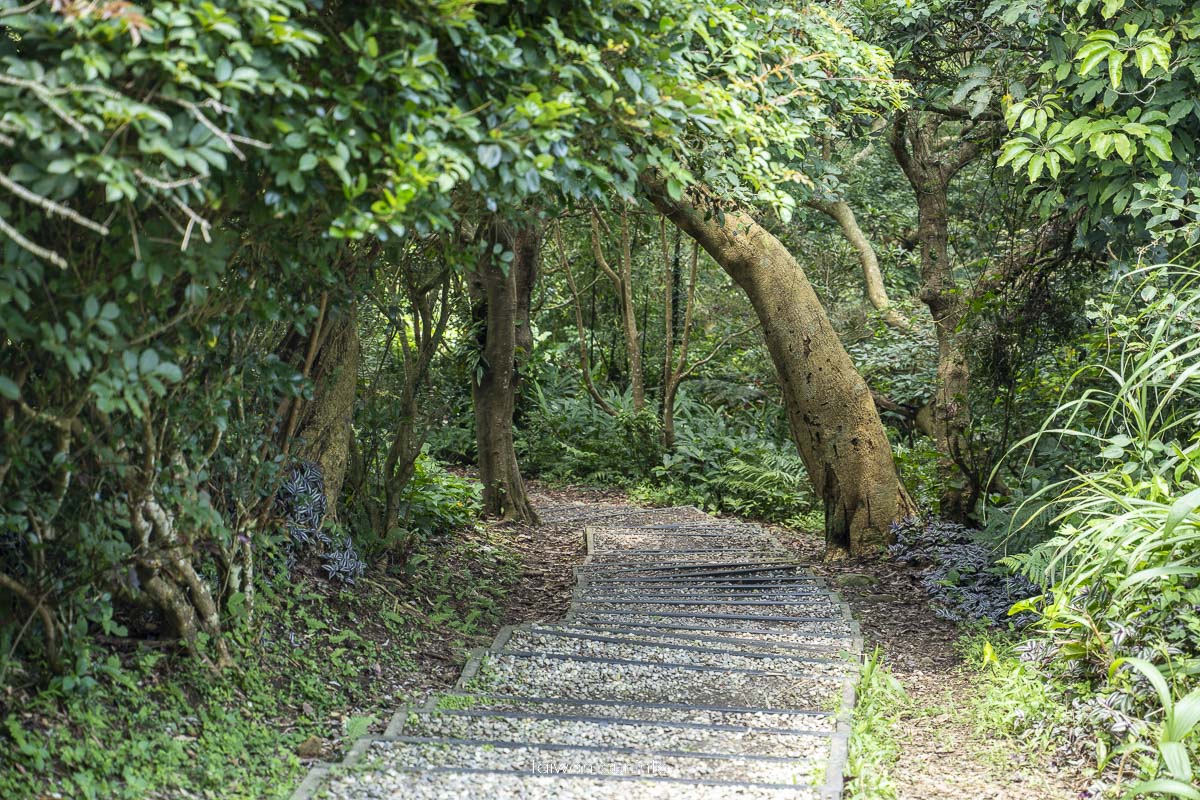 【牛港稜山登山步道】五股親子景點推薦.觀音山