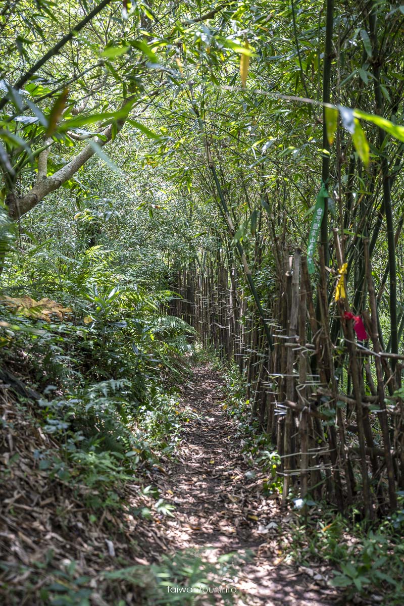 【牛港稜山登山步道】五股親子景點推薦.觀音山