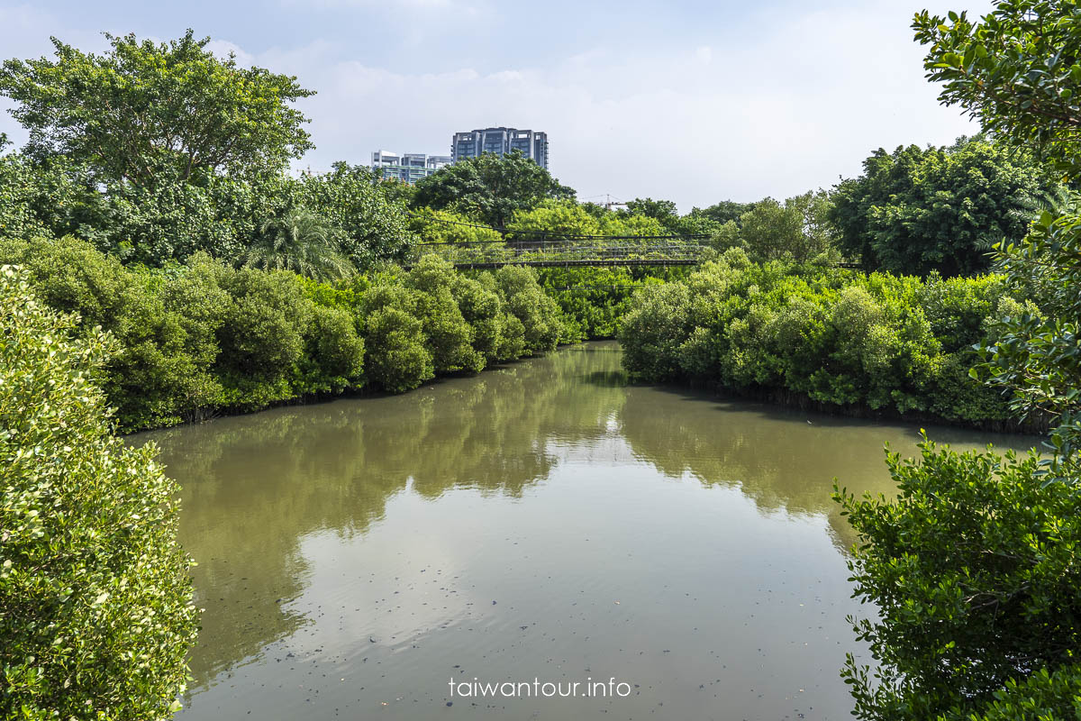 【中都濕地公園】高雄親子景點推薦.吊橋歷史